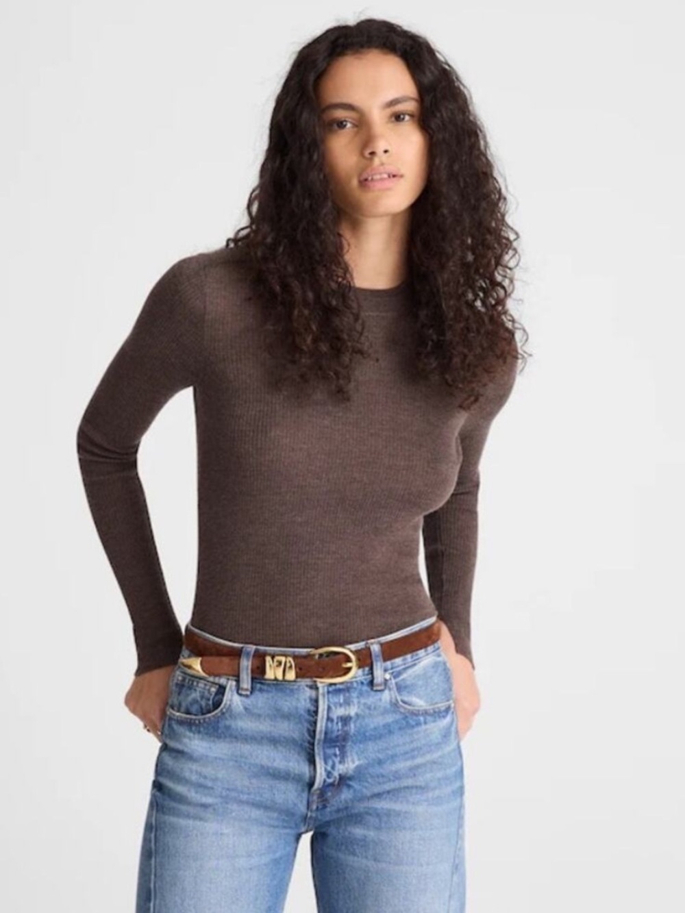 NWT Madewell Size Medium Double Layered Crewneck Sweater in Merino-Silk Brown